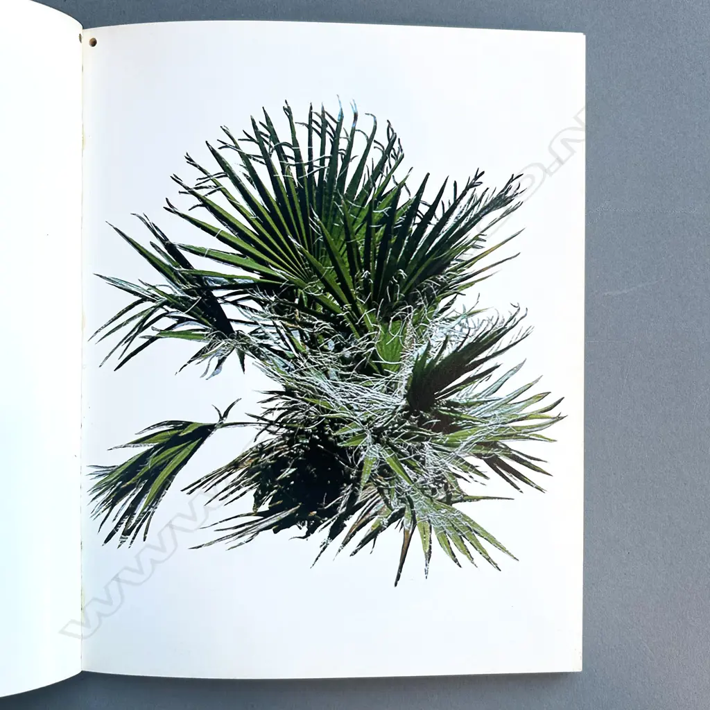 EDWARD RUSCHA: COLORED PEOPLE Image 1++